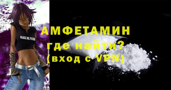 гидра Каменка