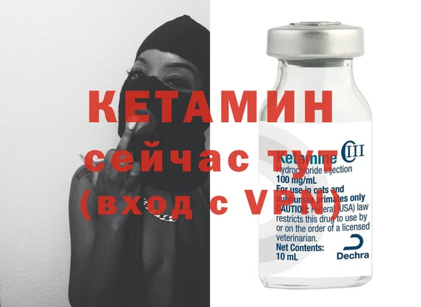 гидра Каменка