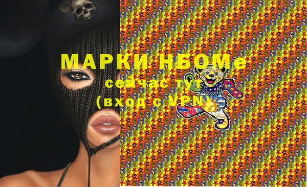 гидра Каменка