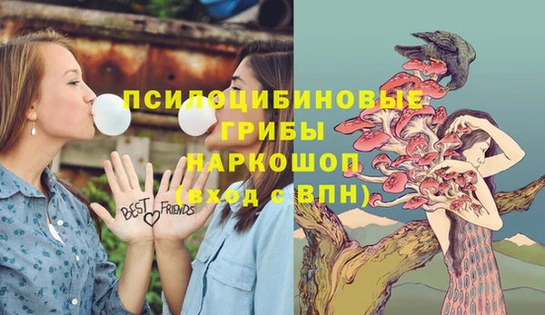 мет Каменногорск