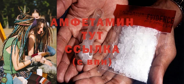 гидра Каменка