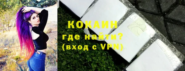 гидра Каменка