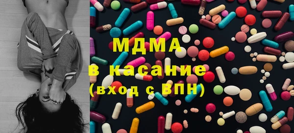 гидра Каменка