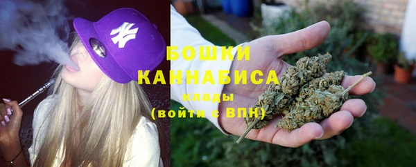 гидра Каменка