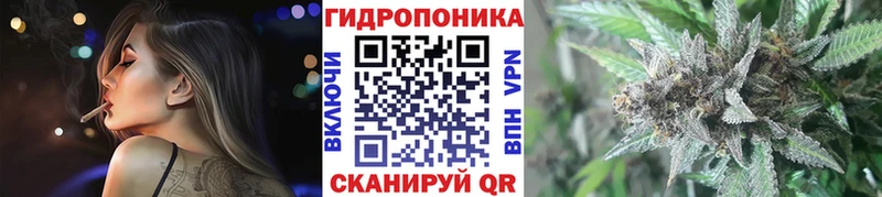 Купить  Сухиничи  Бошки Шишки AK-47 
